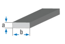 Sheet/Plate